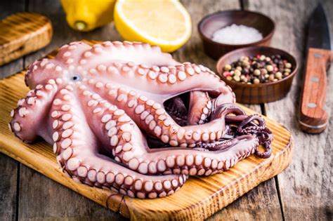 where can i buy octopus near celina ohio|where to buy octopus.